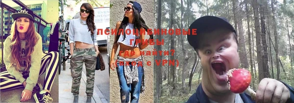 не бодяженный Аркадак