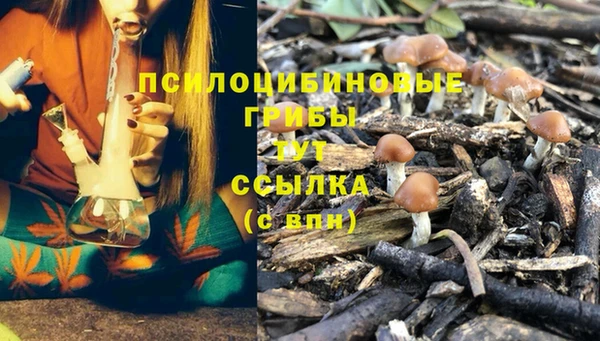 не бодяженный Аркадак